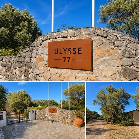 Appartement Ulysse77-cozy Sea View House With Garden And Pool Sivota
